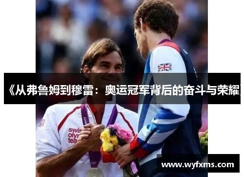 《从弗鲁姆到穆雷：奥运冠军背后的奋斗与荣耀》